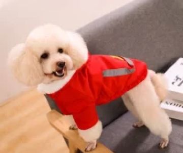 Stylish Dog Clothes for Colder Weather: Fashionable and Warm Outfits for Your Pet