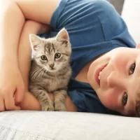 The Best Flea Treatment for Cats: Effective Solutions for Your Pet's Comfort