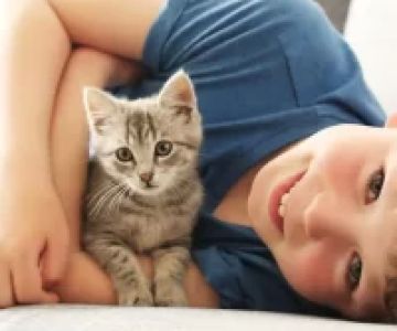 The Best Flea Treatment for Cats: Effective Solutions for Your Pet's Comfort