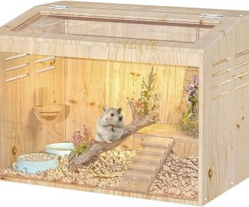 Best Hamster Cages for Small Spaces – Top Compact Habitats for Your Hamster