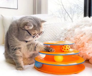 Best Interactive Toys for Cats – Top Picks for Engaging Playtime and Enrichment