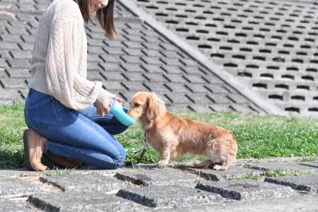 Best Practices for Pet Hydration and Nutrition: A Guide to Keeping Your Pet Healthy and Hydrated