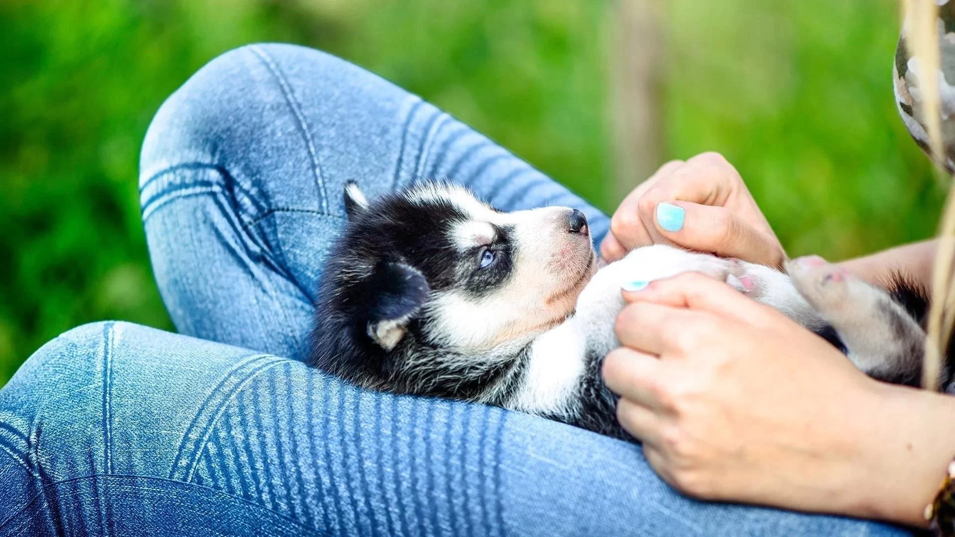 How to Care for a Puppy’s Health: Essential Tips for New Pet Parents