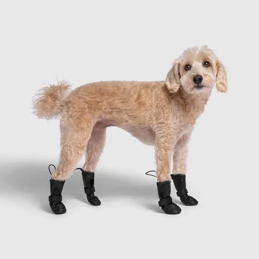 Waterproof Dog Boots for Winter: Keep Your Pet's Paws Safe and Comfortable
