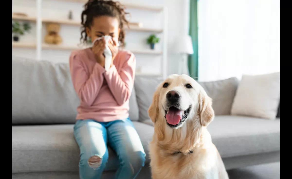 Effective Pet Allergy Treatment: Relief for Pet Owners