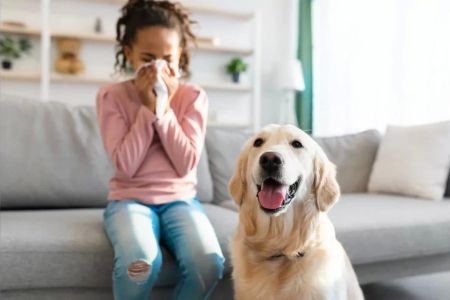 Effective Pet Allergy Treatment: Relief for Pet Owners