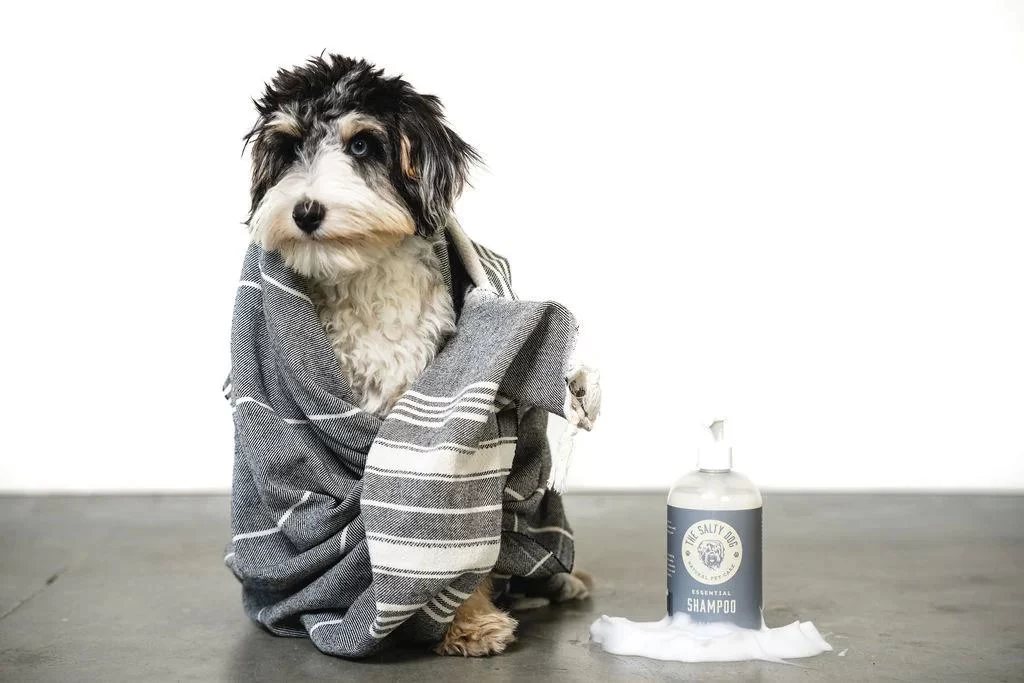 The Best Pet Shampoos for Sensitive Skin: Finding the Right Solution for Your Pet’s Comfort