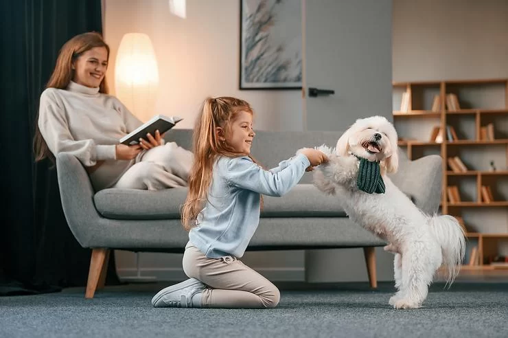 What to Include in Your Pet’s Wellness Checklist: Essential Tips for Keeping Your Pet Healthy