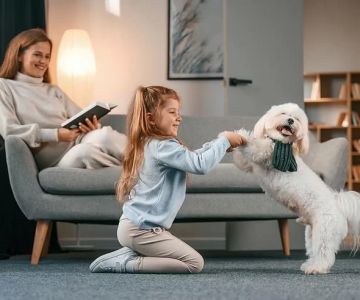 What to Include in Your Pet’s Wellness Checklist: Essential Tips for Keeping Your Pet Healthy