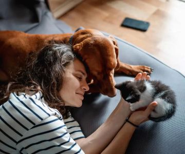 Pet Wellness Care Plan Near Me in San Francisco - Affordable and Comprehensive Pet Care