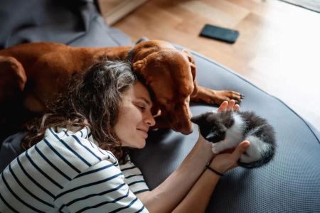 Pet Wellness Care Plan Near Me in San Francisco - Affordable and Comprehensive Pet Care