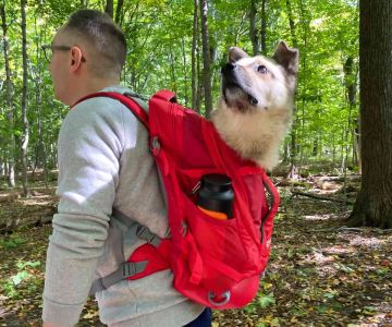 Best Pet Carrier Backpacks for Hiking - Top Picks for Pet-Friendly Adventures