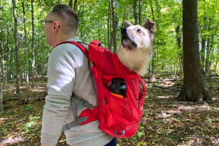 Best Pet Carrier Backpacks for Hiking - Top Picks for Pet-Friendly Adventures