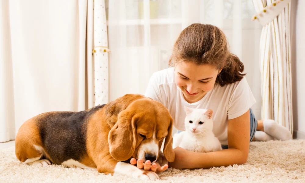 Pet Wellness Programs: Keeping Your Furry Friends Healthy and Happy