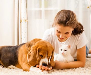 Pet Wellness Programs: Keeping Your Furry Friends Healthy and Happy