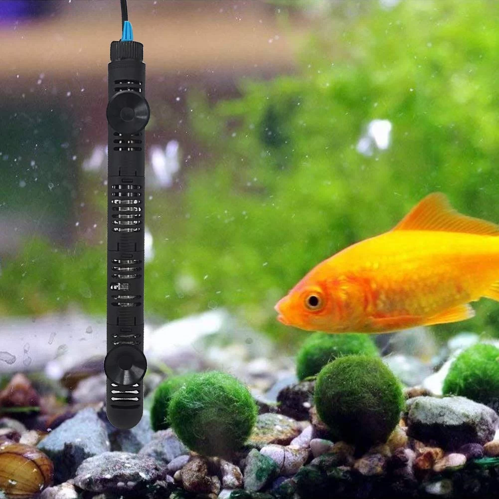 Best Aquarium Heaters for Tropical Fish Tanks: Top Picks for Maintaining Ideal Temperatures