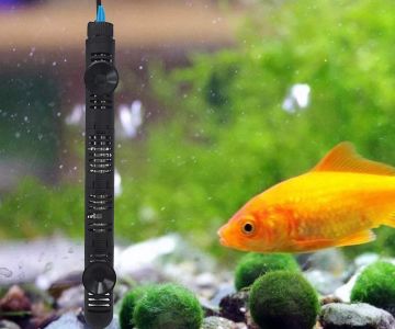 Best Aquarium Heaters for Tropical Fish Tanks: Top Picks for Maintaining Ideal Temperatures