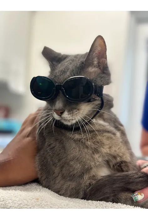 Vero Beach Veterinary Hospital 12