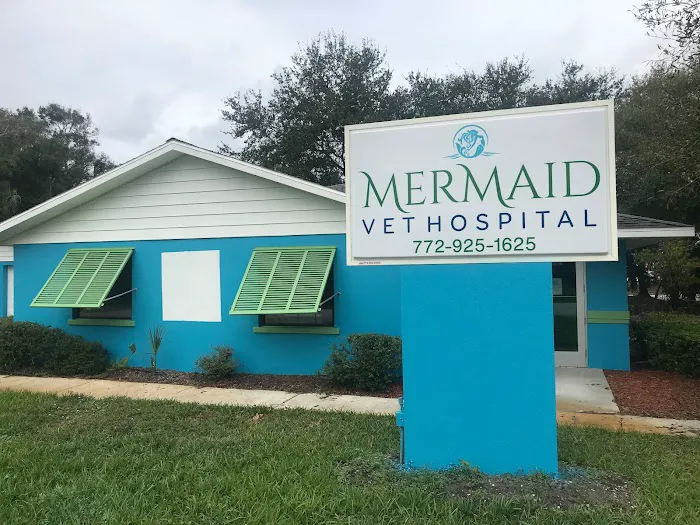 Mermaid Vet Hospital 4
