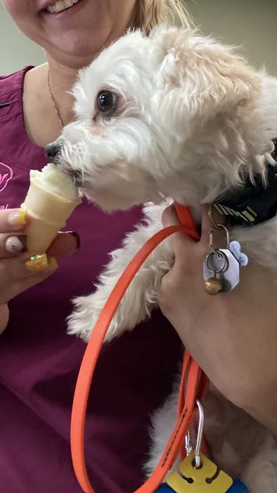 Live Oak Animal Hospital - Miracle Mile 3