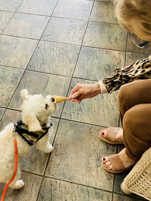 Live Oak Animal Hospital - Miracle Mile 1