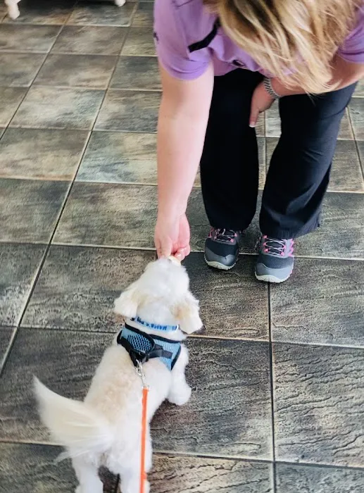 Live Oak Animal Hospital - Miracle Mile 4