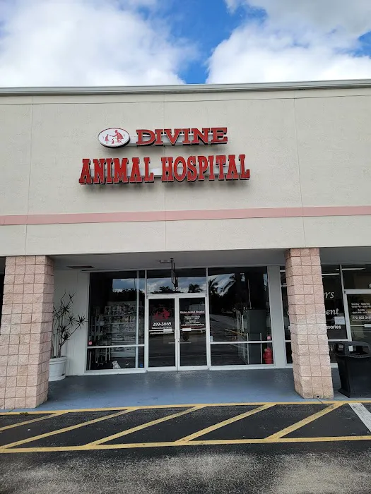Live Oak Animal Hospital - Miracle Mile 5