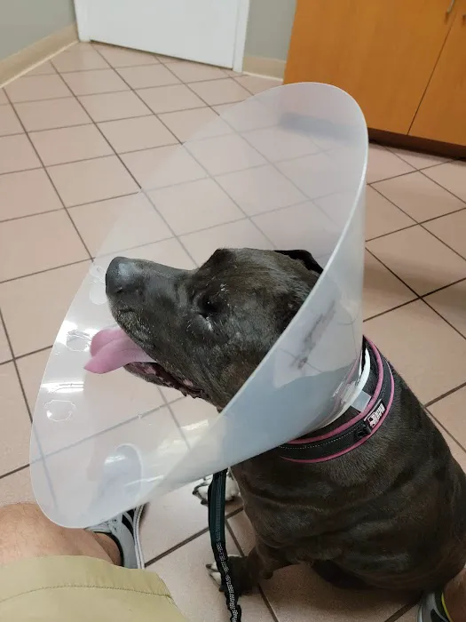 St. Francis Animal Hospital of Vero Beach 12