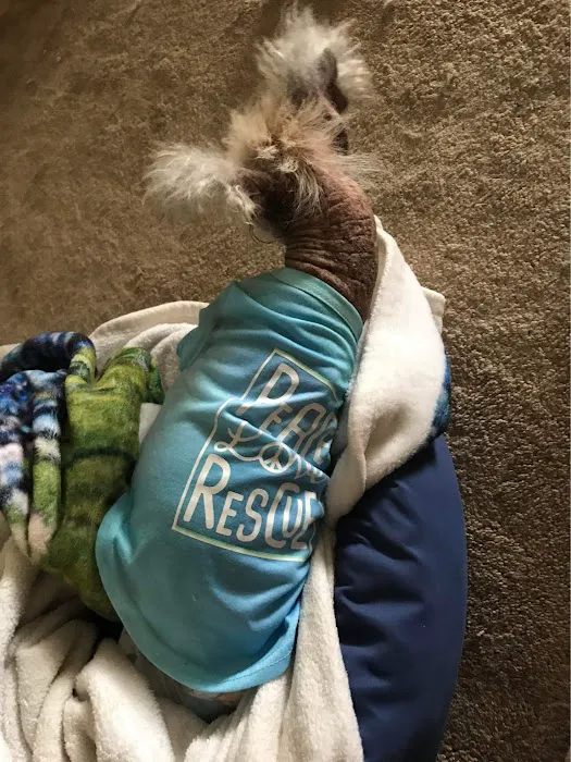 St. Francis Animal Hospital of Vero Beach 12