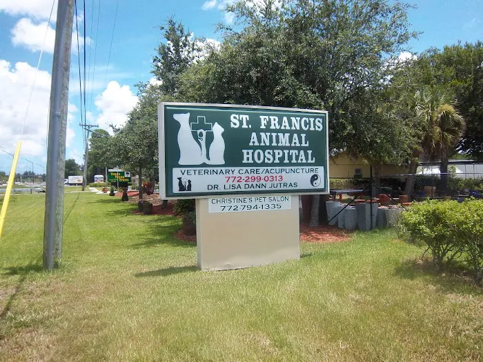 St. Francis Animal Hospital of Vero Beach 12