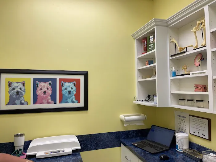 Village Pet Clinic 1