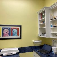 Village Pet Clinic ico