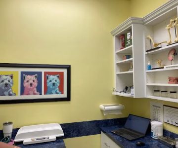 Village Pet Clinic