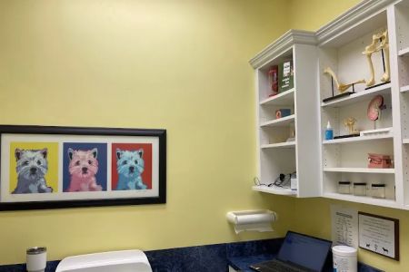 Village Pet Clinic