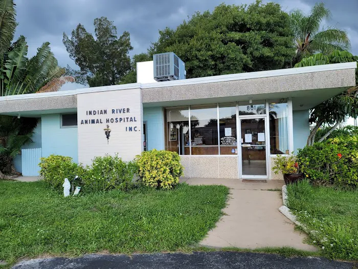 Indian River Animal Hospital 1