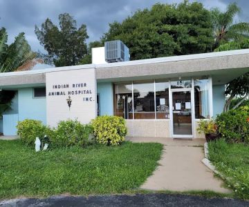 Indian River Animal Hospital