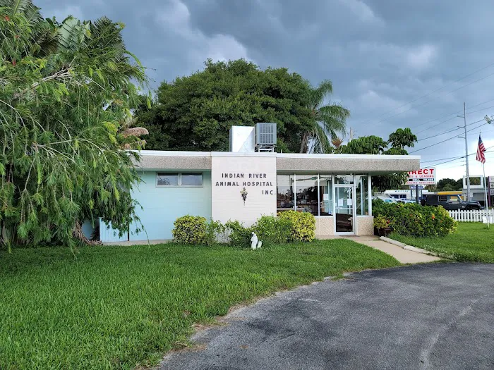 Indian River Animal Hospital 4