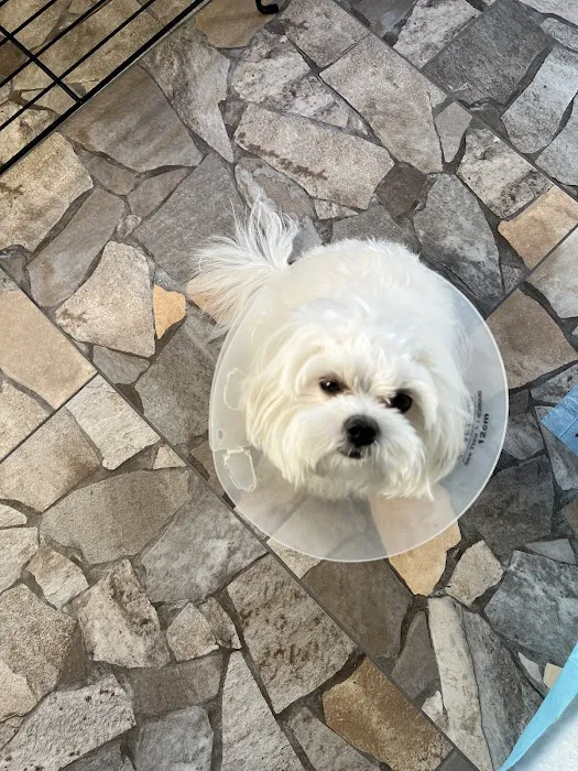 Banfield Pet Hospital 4
