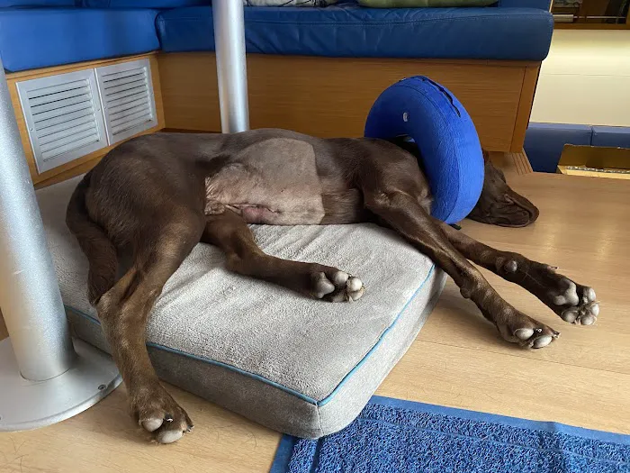 Banfield Pet Hospital 3
