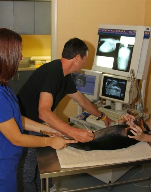 Pet Medical Center Of Vero Beach 12
