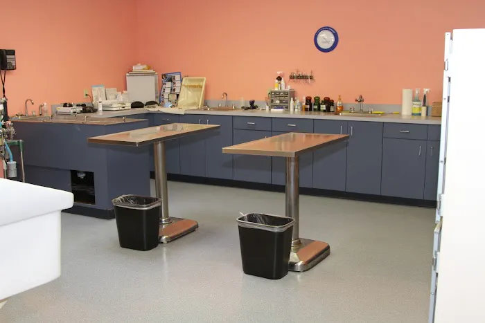 Pet Medical Center Of Vero Beach 12