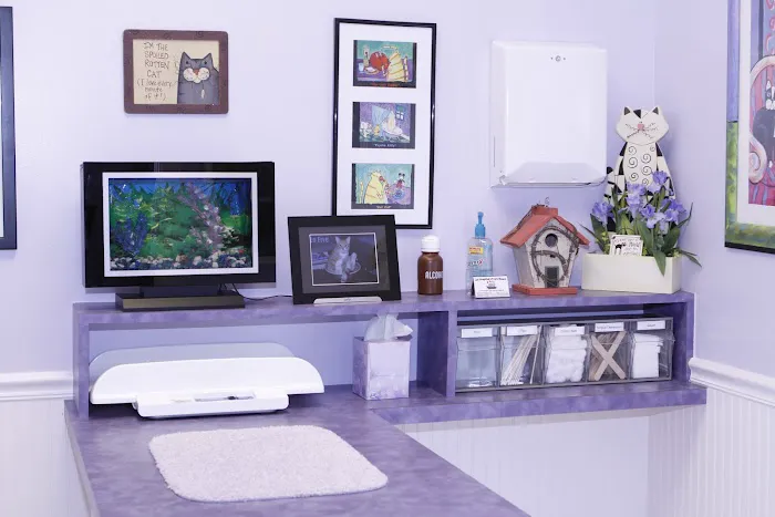 Cat Hospital of Vero Beach 9