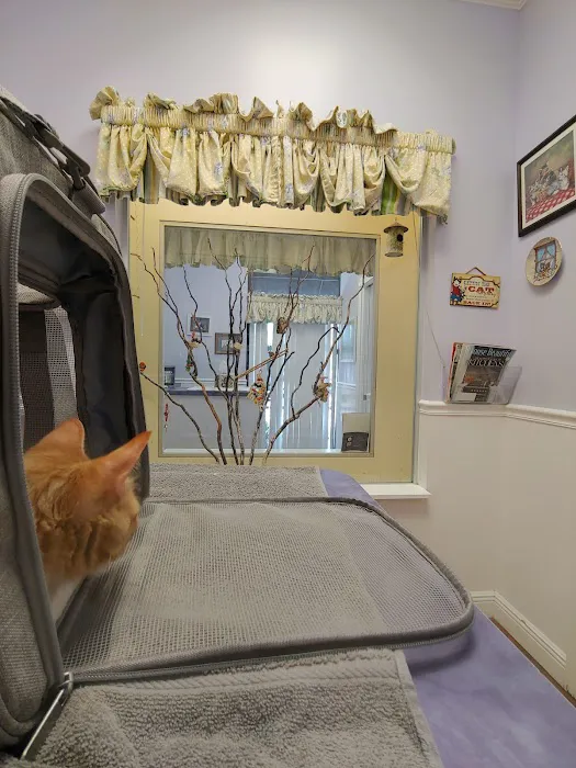 Cat Hospital of Vero Beach 6