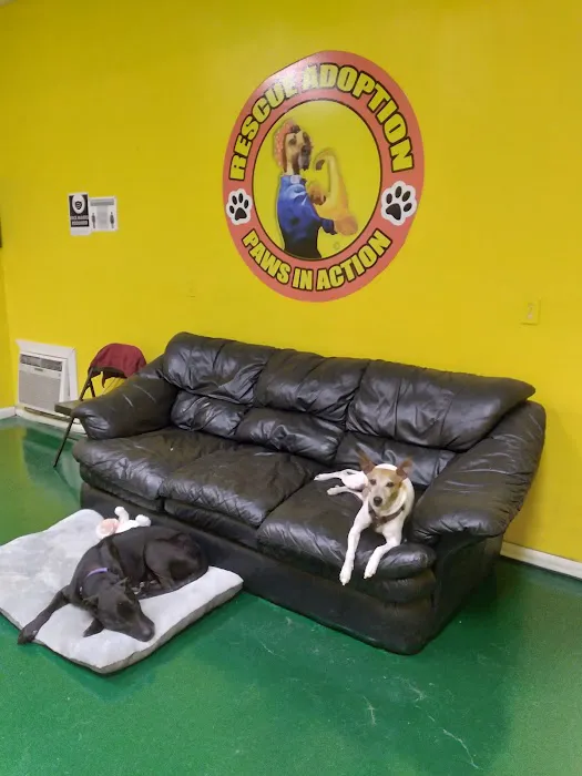Rescue Adoption, Inc. 12