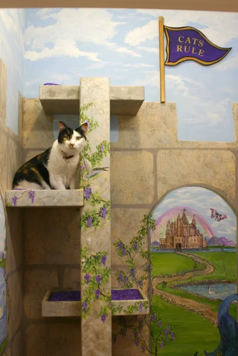 Cat Hospital of Vero Beach: Gambella Suzanne DVM 12
