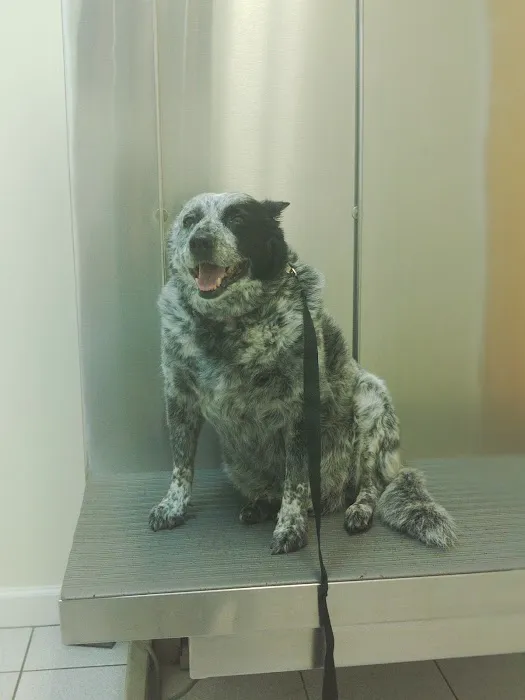 Kirby Veterinary Hospital 12