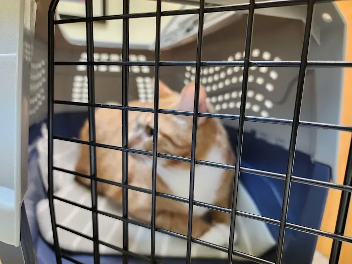 Kirby Veterinary Hospital 12