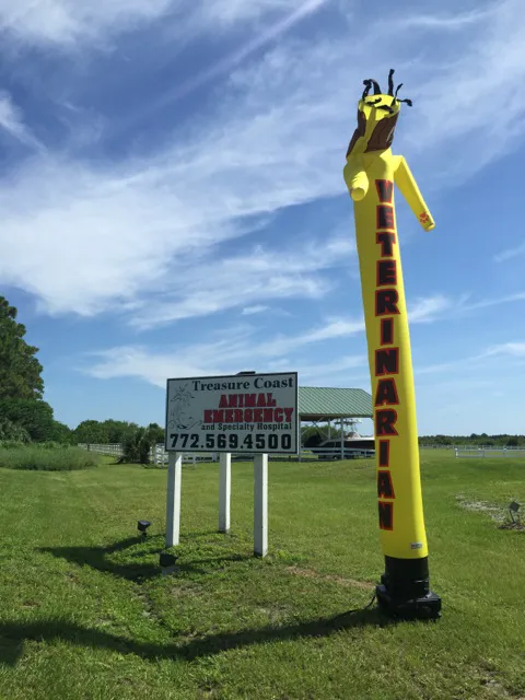 Treasure Coast Animal Emergency and Specialty Hospital 12