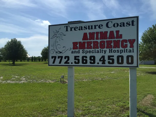 Treasure Coast Animal Emergency and Specialty Hospital 12