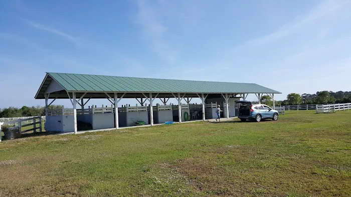 Treasure Coast Animal Emergency and Specialty Hospital 12